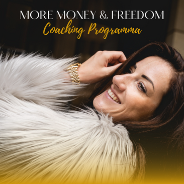 Visual More Money Freedom Coaching Programma